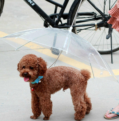 Premium Dog Umbrella