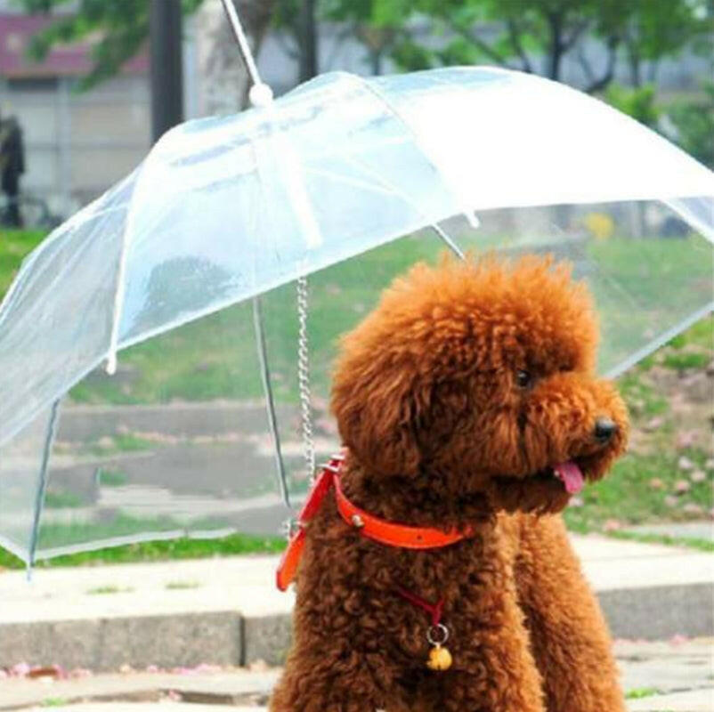 Premium Dog Umbrella